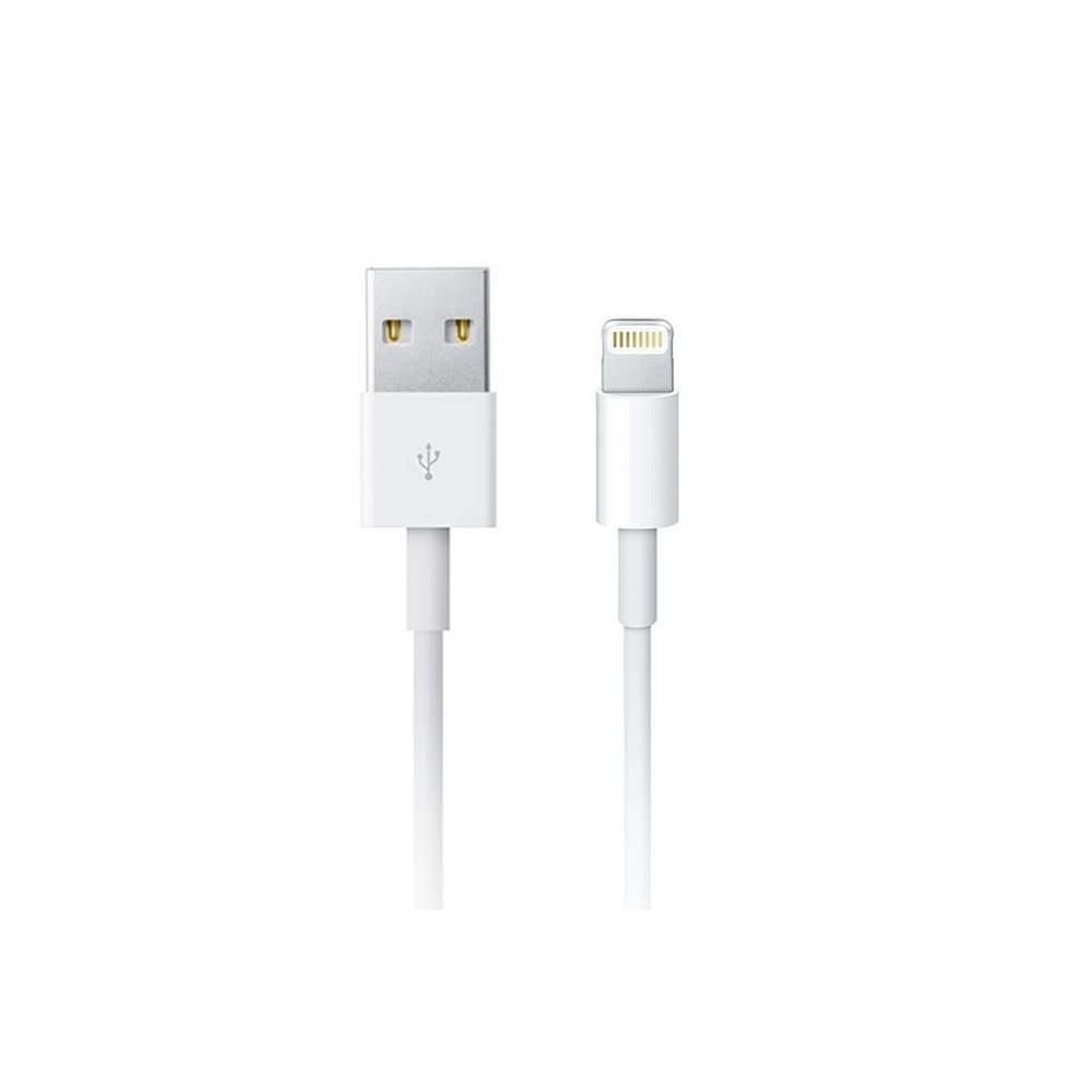 Lightning USB kabel iPhone/iPad Ben